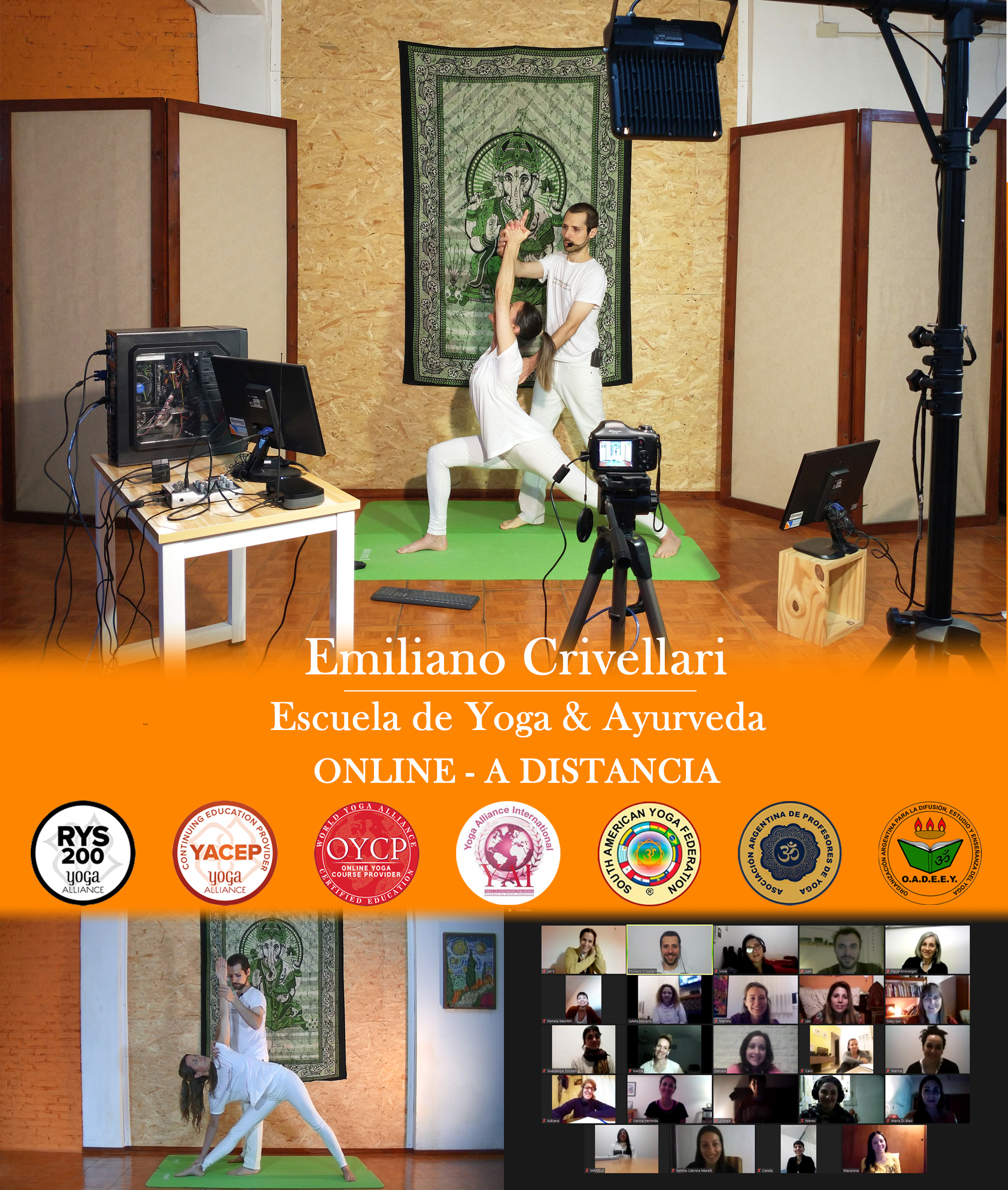 profesorado online de yoga